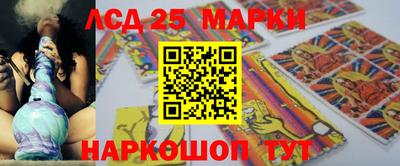 гидропоника Будённовск