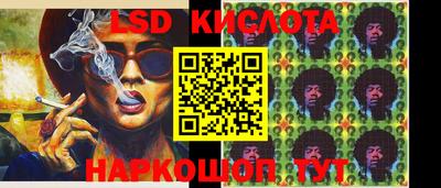 гидропоника Будённовск
