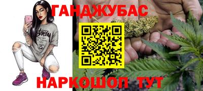 гидропоника Будённовск