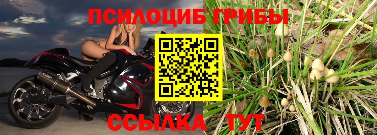 Галлюциногенные грибы Psilocybe  Вход с VPN  Саратов 